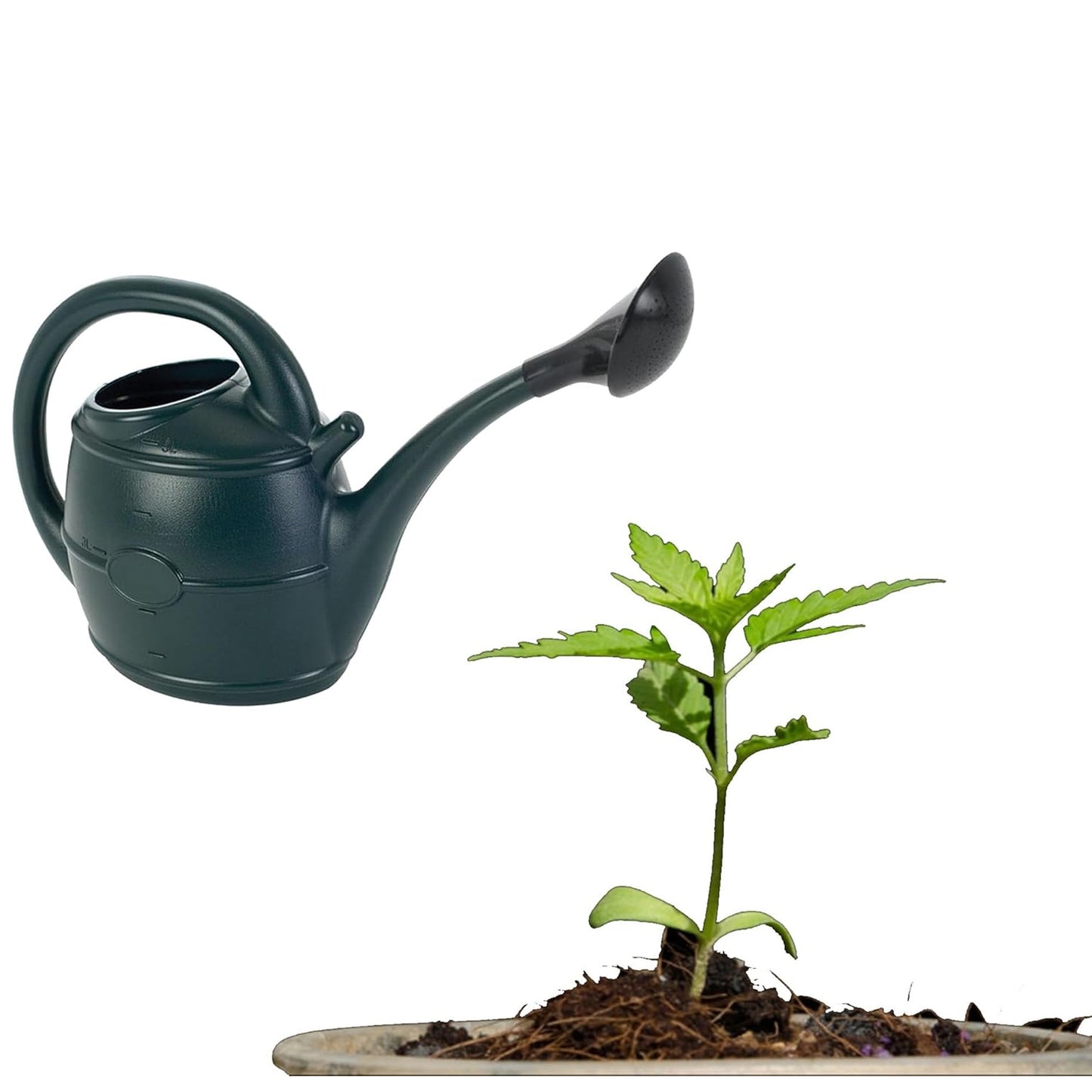 13 Litre Green Gardening Handy Sized Watering Can With Rose Head For Flowers & Plants