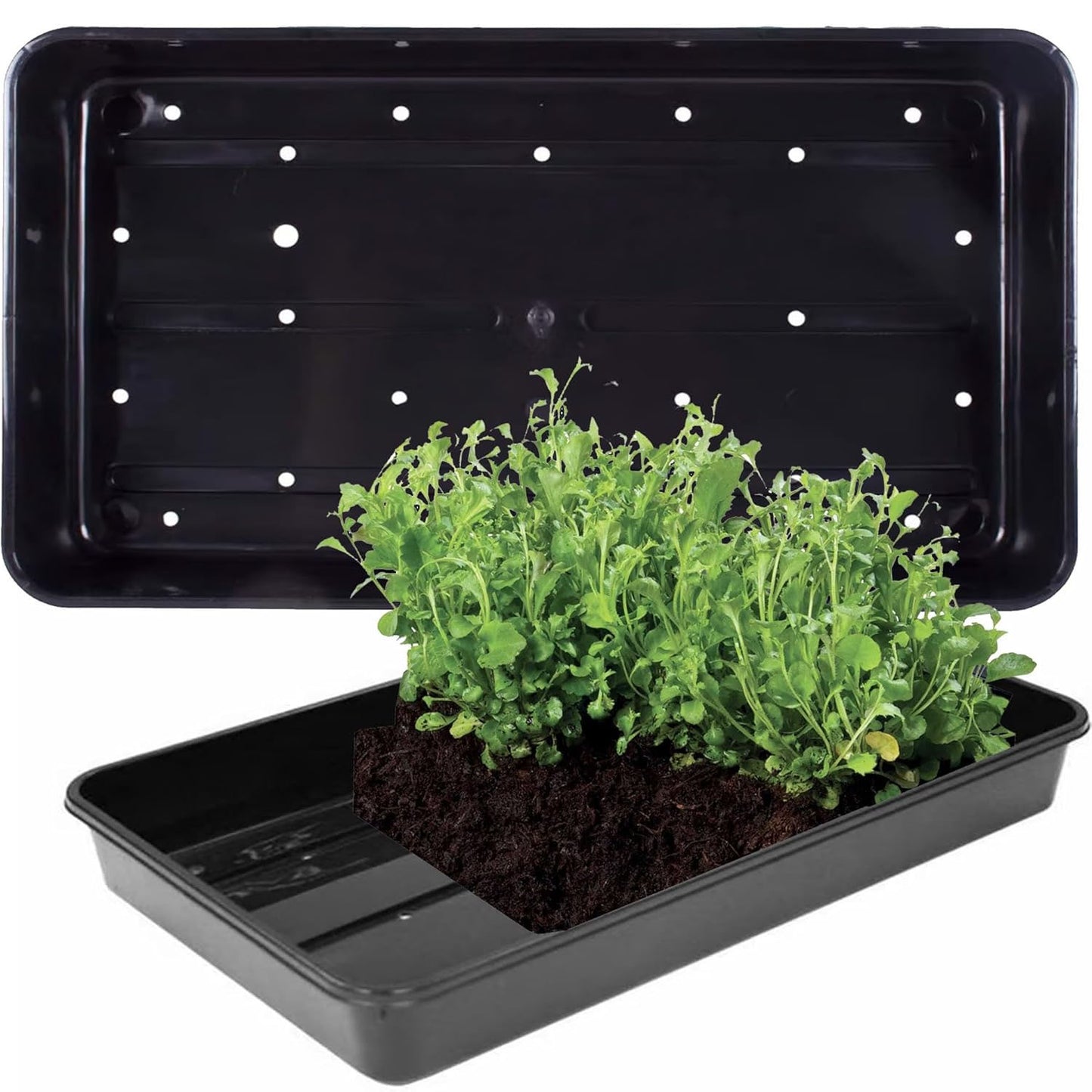 Black Plastic Gardening Seed Trays With Strong Rim Ideal For Gardens & Greenhouse