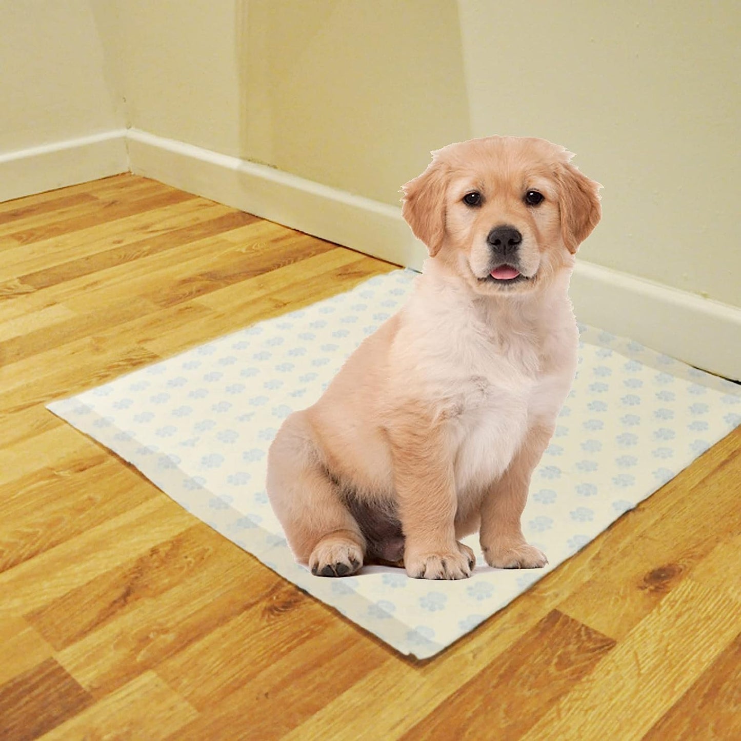 3 Highly Absorbent Layers Of Hygienic Easy To Dispose Leak Proof Dog Puppy Toilet Training Pads For Pet Wee