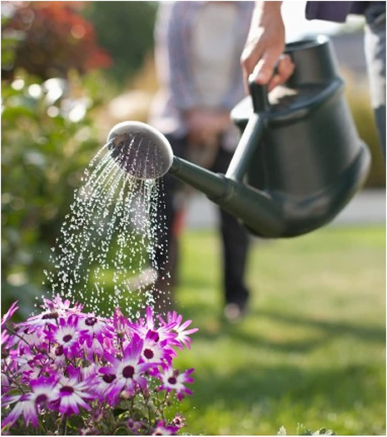 Strong 6 Litre Green Indoor & Outdoor Garden Watering Can Complete With Detachable Sprinkler Head & Handle