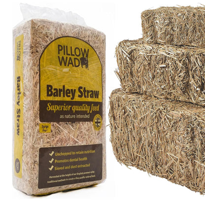 Un-Chopped Soft Barley Straw Bedding For Animals Retains Nutrition Ideal For Chickens, Rabbits & Tortoise