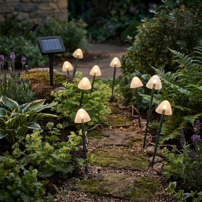Solar Mushroom Pathway Lights Warm White Pearl Caps 10 LED 2m Lit Length