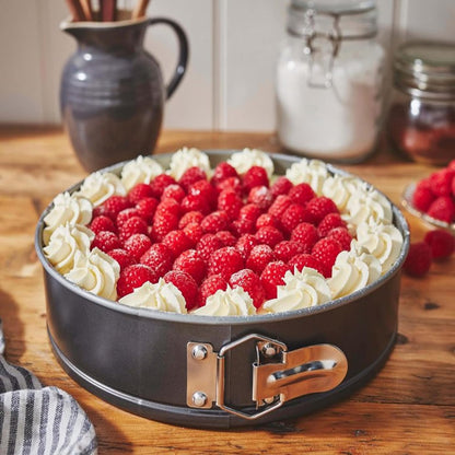 Round 9" Non-Stick 22cm Springform Cake Pan Perfect For Pies & Cakes